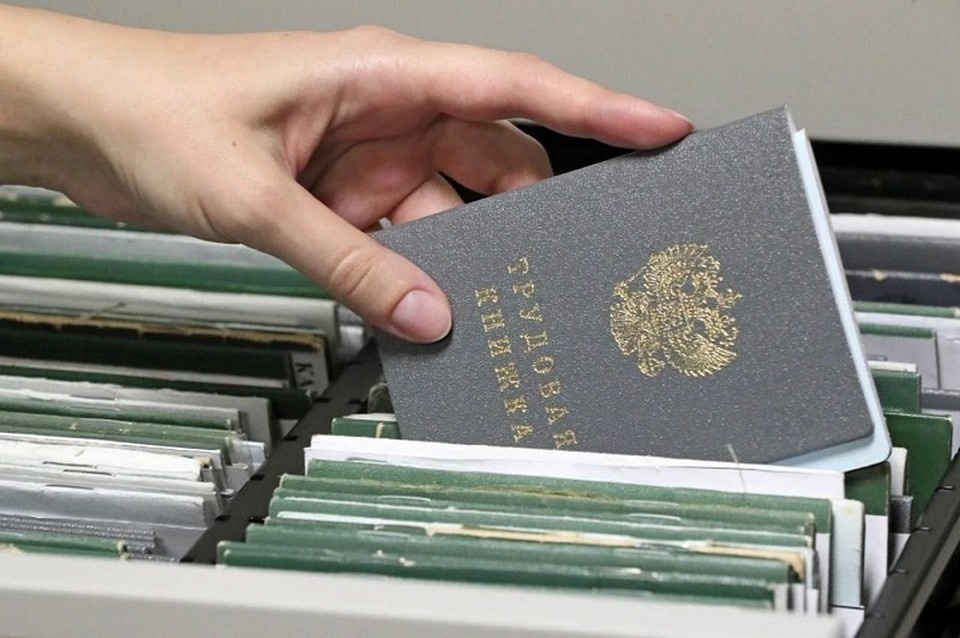    Число обращений в центры занятости ДНР сократилось на 54% в 2025 году. Фото: ТГ/Толстыкина