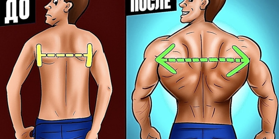 Анатомия мощной спины: как заставить работать каждую мышцу