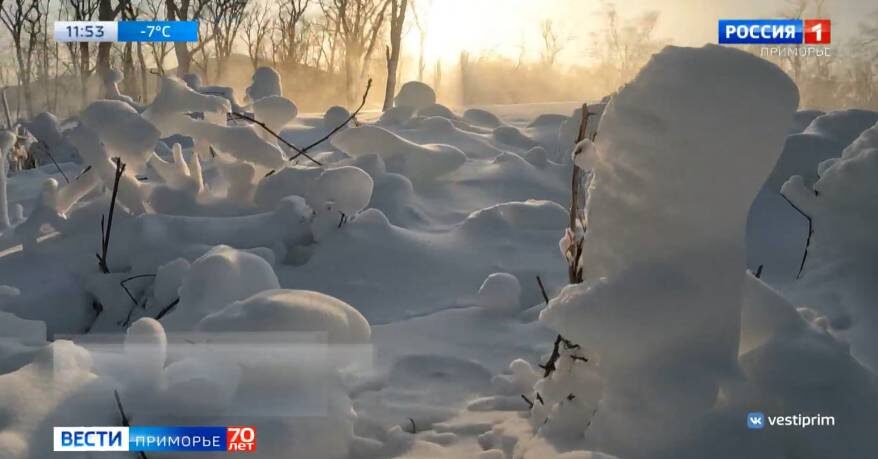    Источник фото: