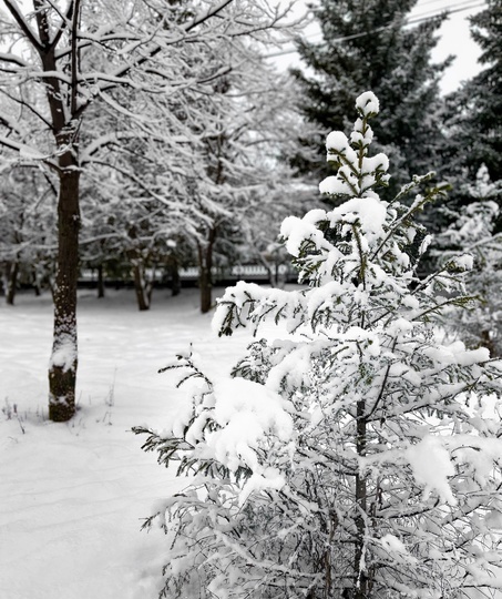 Синоптики сообщили, когда из Башкирии уйдут аномальные морозы