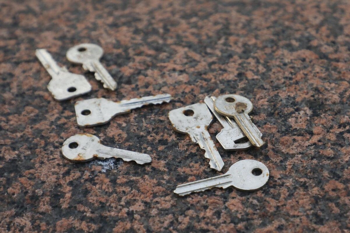 Фото: Александр Глуз / «Петербургский дневник»