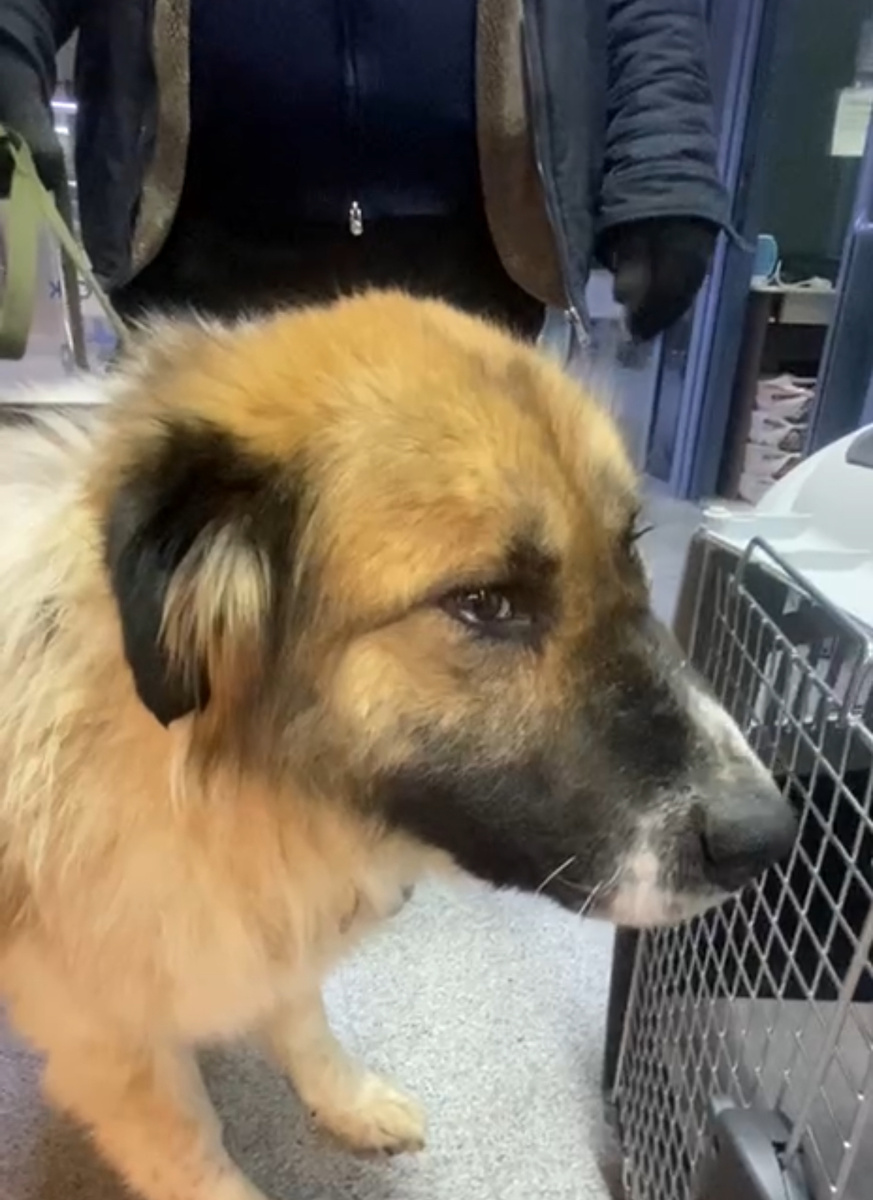 В аэропорту