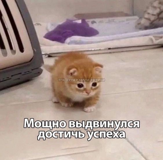 Мы в первый день диеты