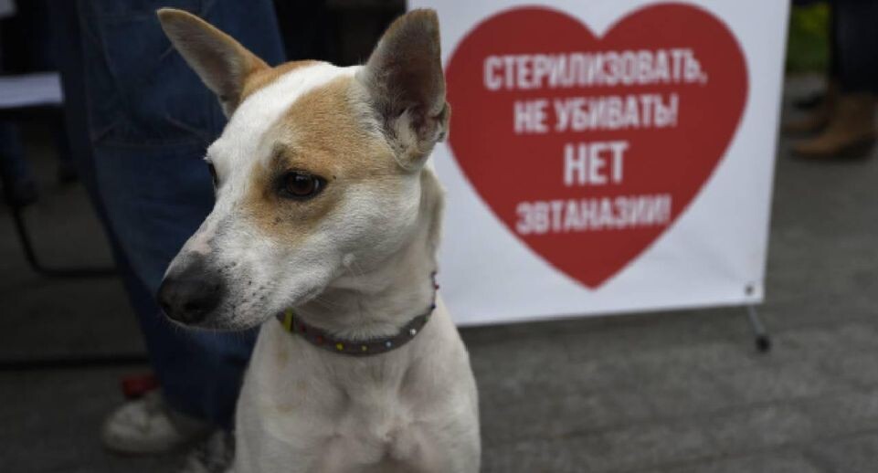    Медиасток.рф