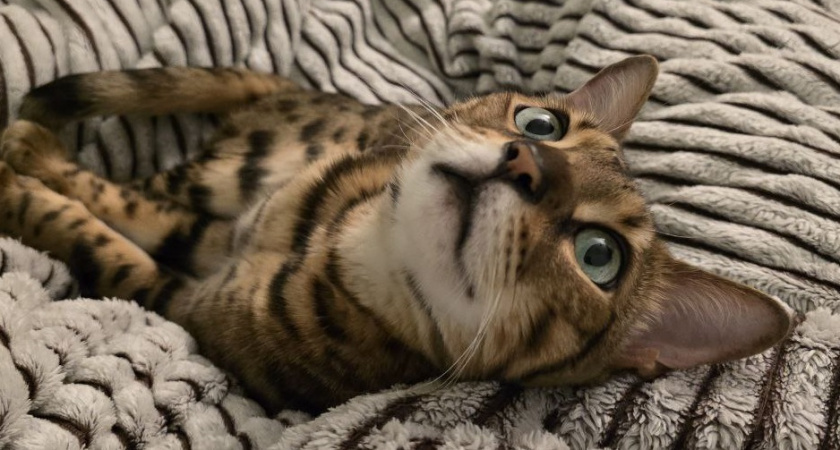    Фото Анастасии Дмитриевой