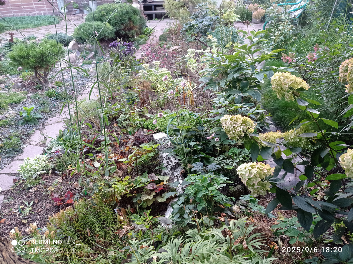 дальний край