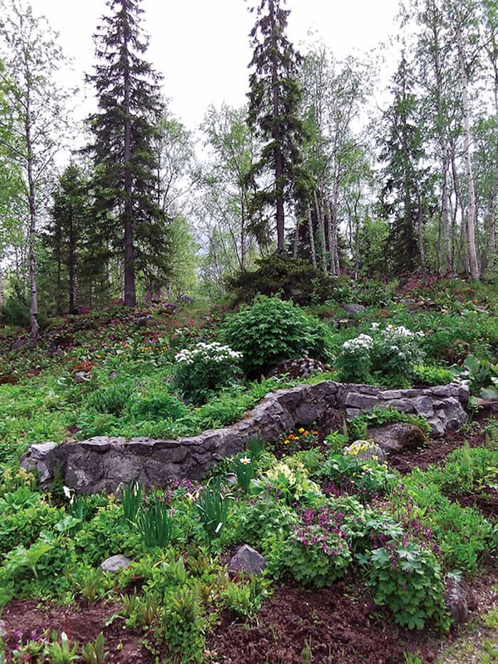 Полярно-альпийский ботанический сад-институт имени Н.А. Аврорина