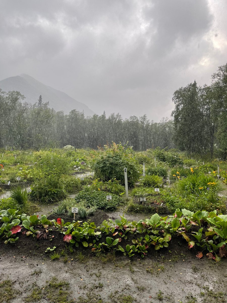 Полярно-альпийский ботанический сад-институт имени Н.А. Аврорина