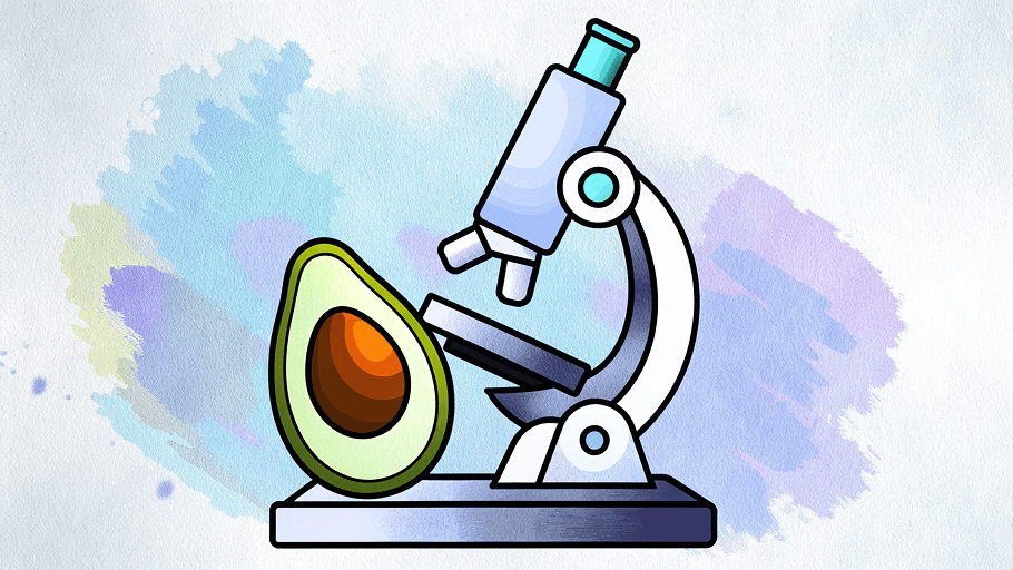 Что такое доказательная нутрициология