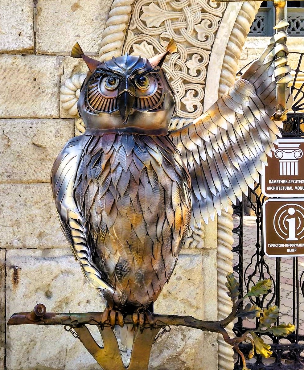 Сову снимала в Феодосии