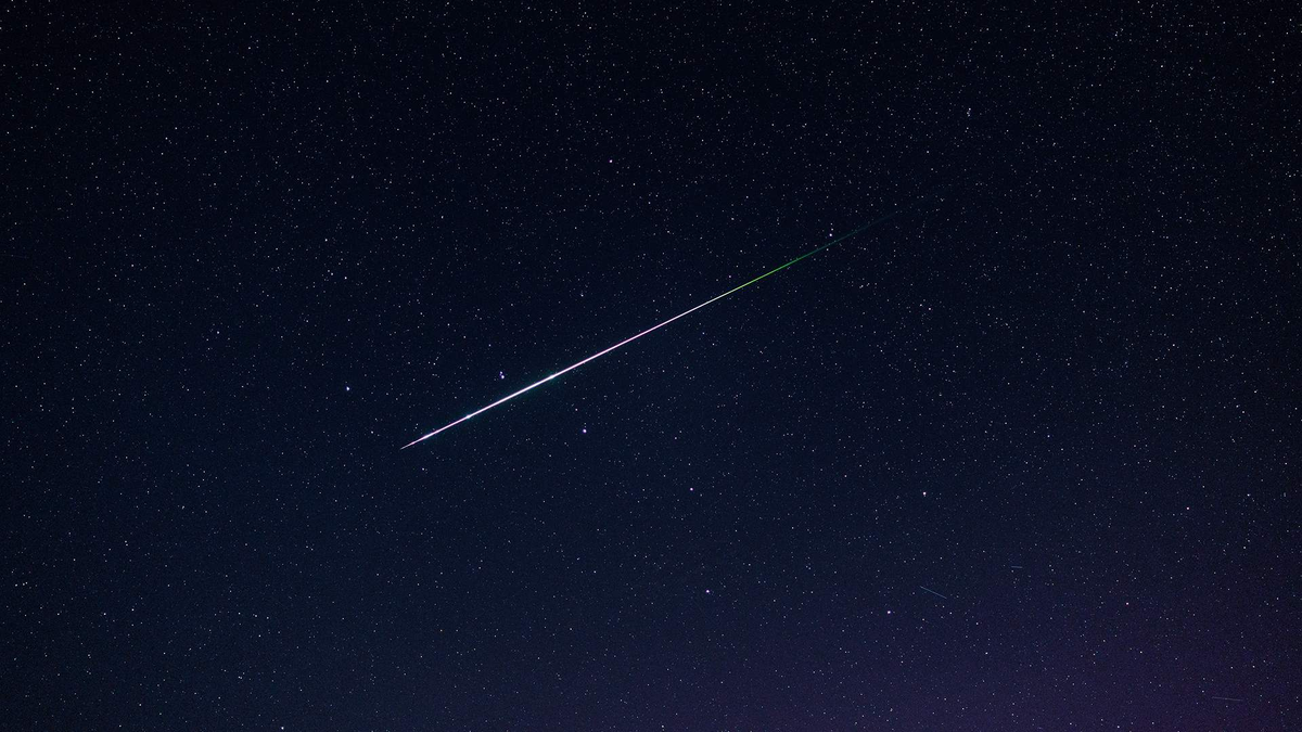 Фото: Global Look Press/Matthias Balk