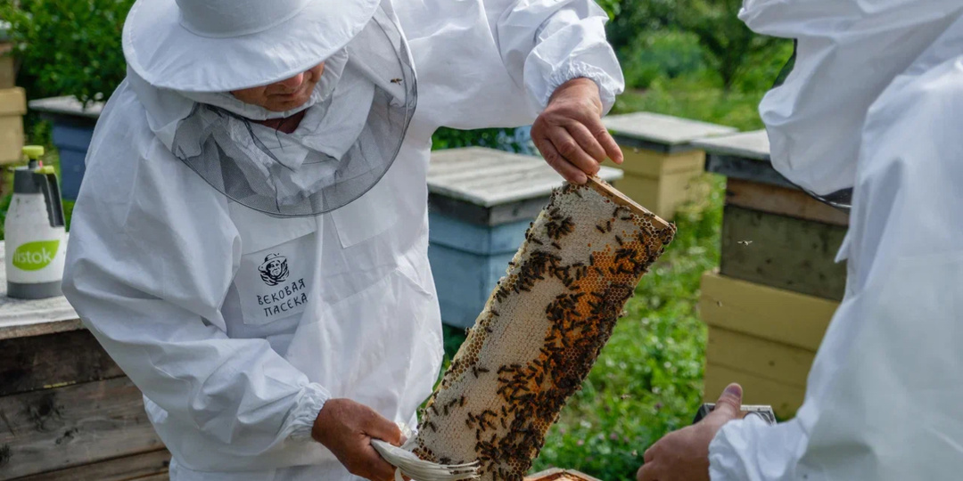 Продукты пчеловодства: от пчелы и пасечника до конечного потребителя