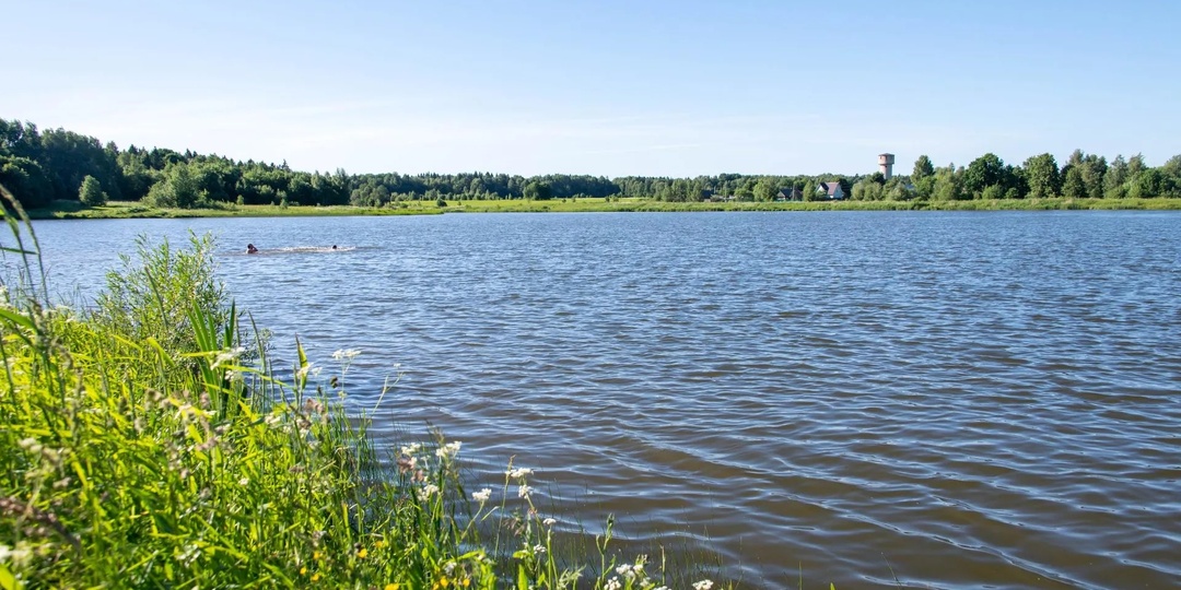 Водоёмы общего пользования в 2026 году: где и как можно рыбачить бесплатно