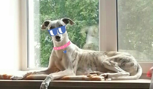 Помедленнее, я записываю!(с)