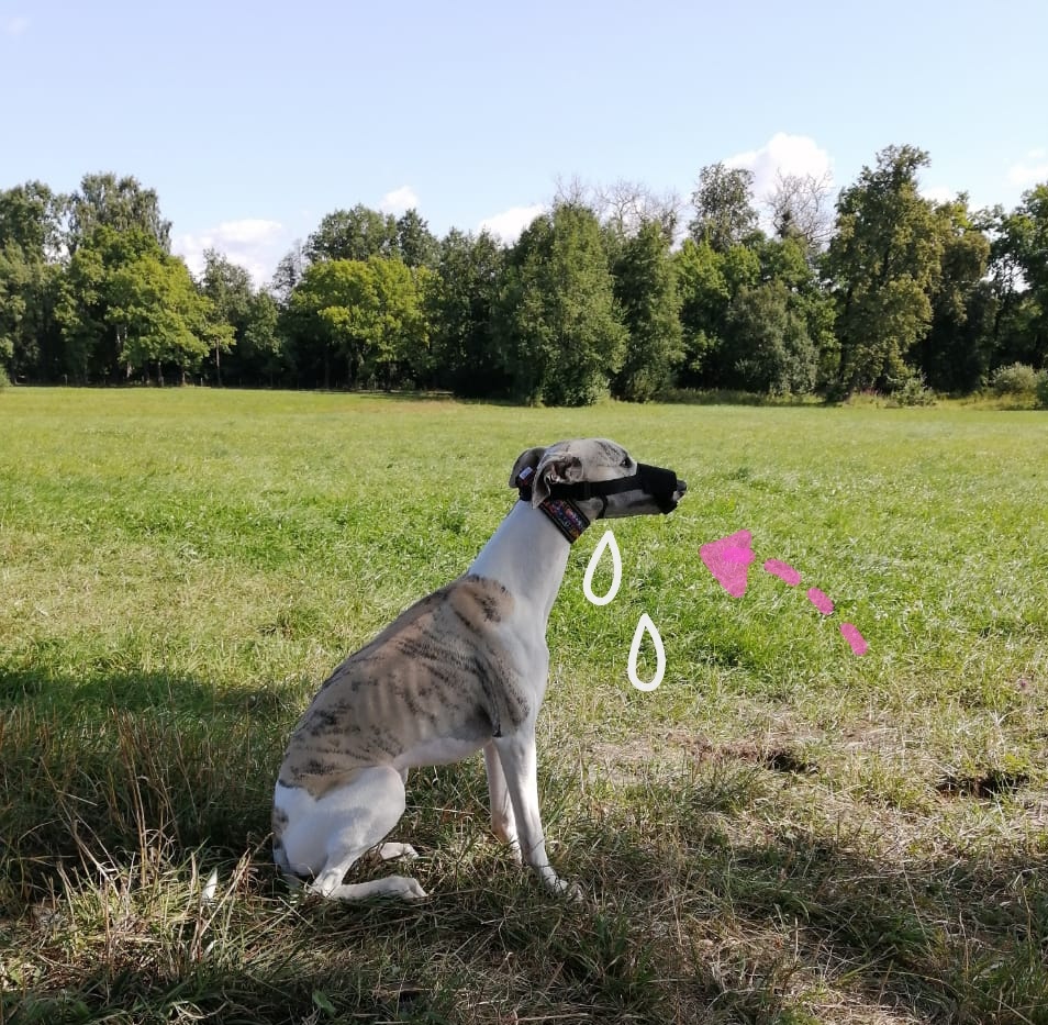 Не дают развернуться..