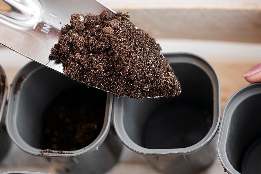 Главное в грунте — рыхлость и влагоемкость, чтобы нежные корешки могли дышать и легко прорастать, а также чистота и нейтральная кислотность, чтобы исключить болезни и создать комфортную среду.