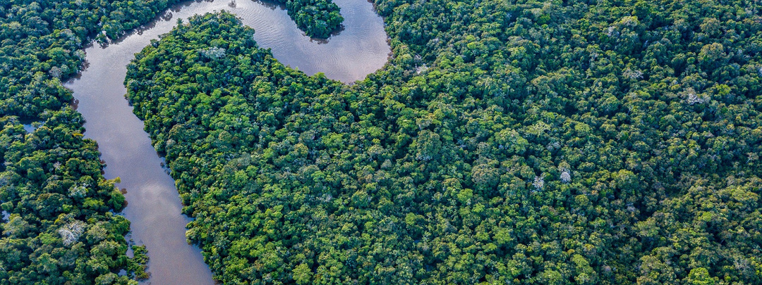 Загадки и уникальные явления Амазонки
