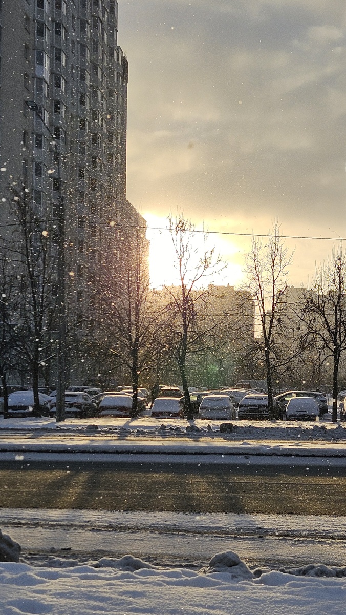 Утро 1 января (фотография автора)