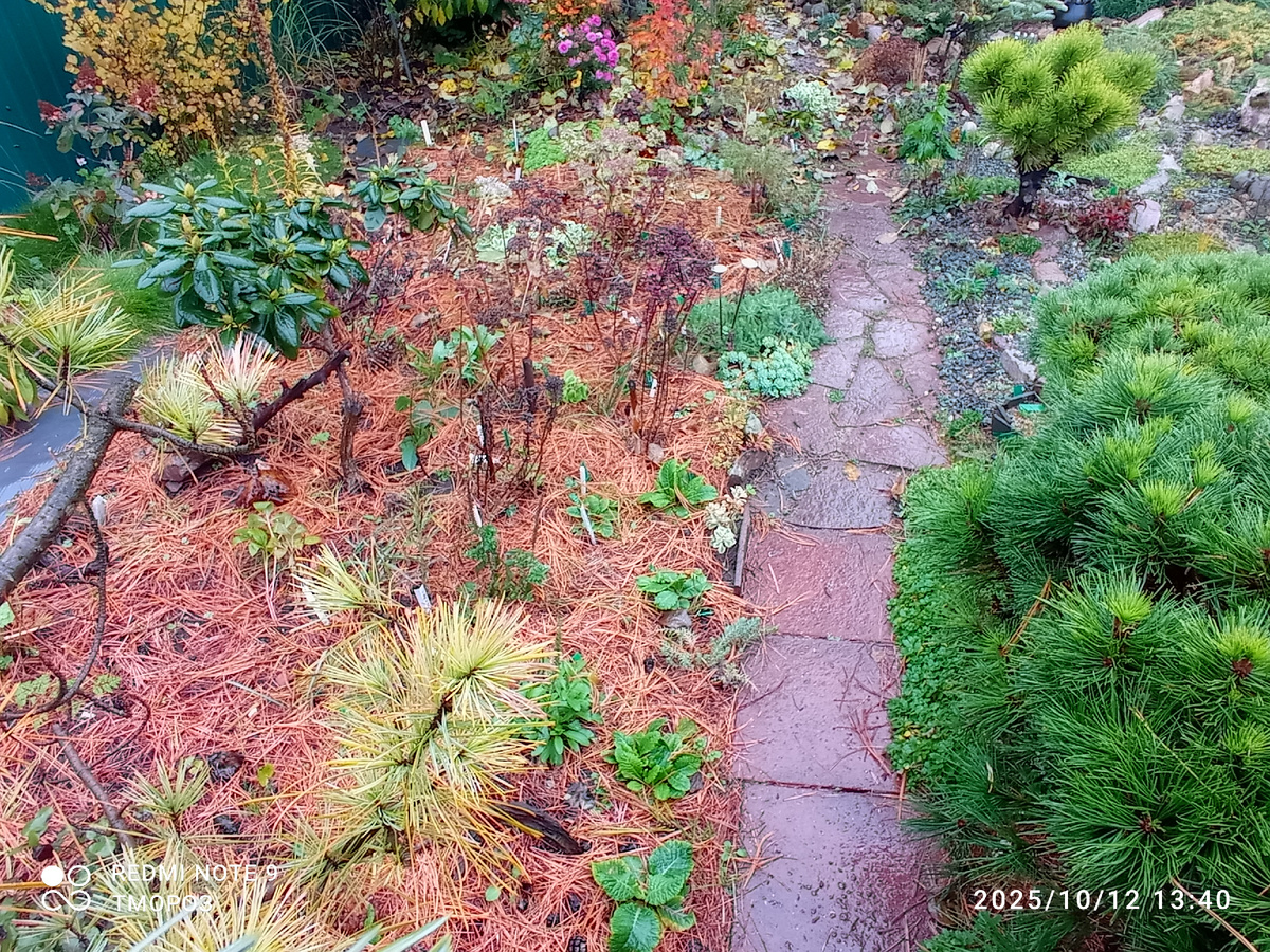 центр посадок