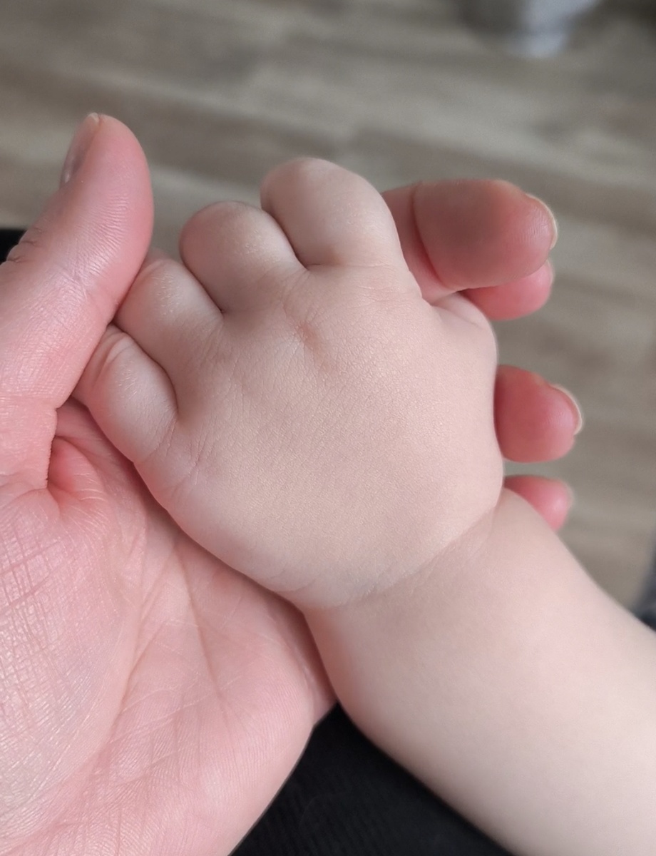 Все фотографии в статье авторские