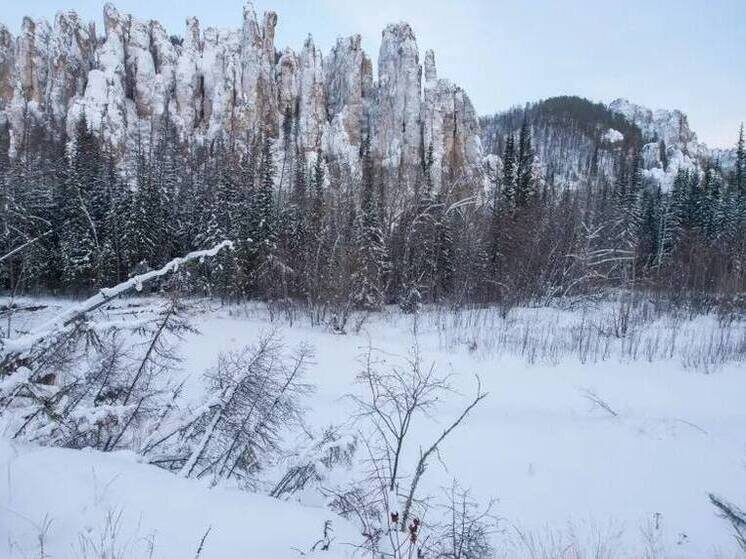     Фото: Mikhail Cheremkin/Shutterstock/Fotodom