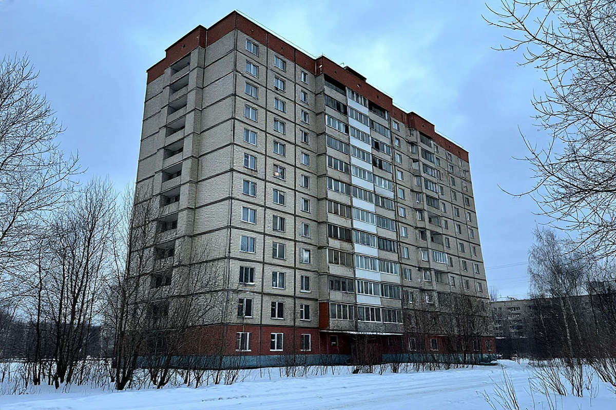    Фото: коллаж RuNews24.ru