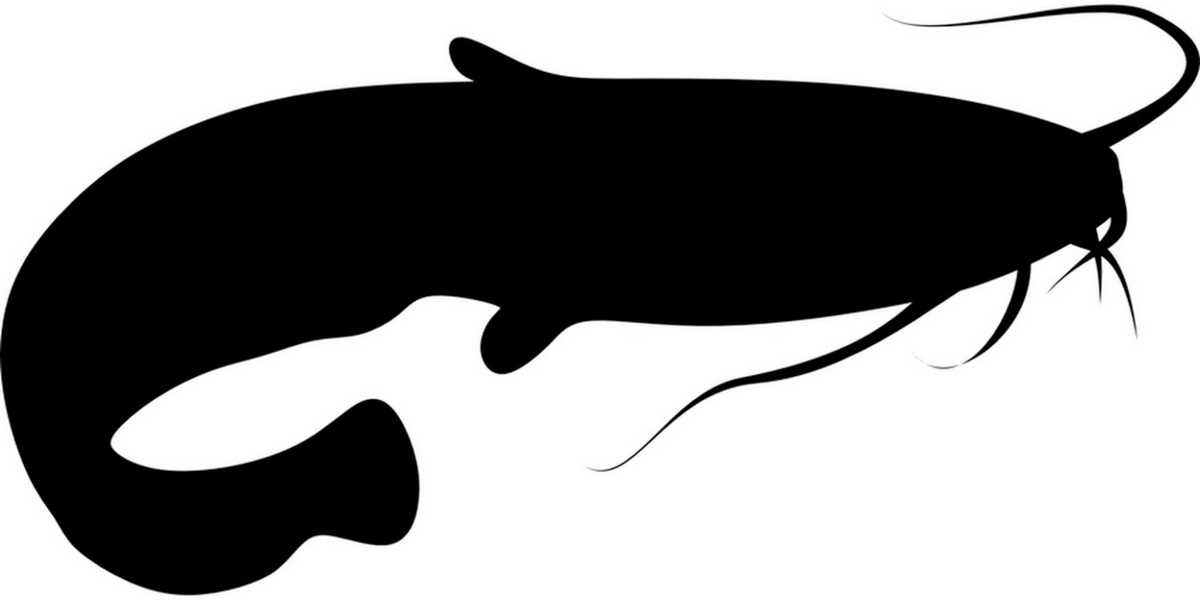 Сом — приятель Настеньки