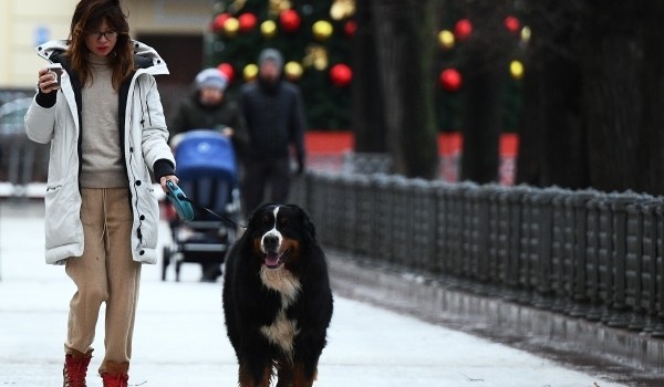 фото: РИА Новости/Евгений Одиноков