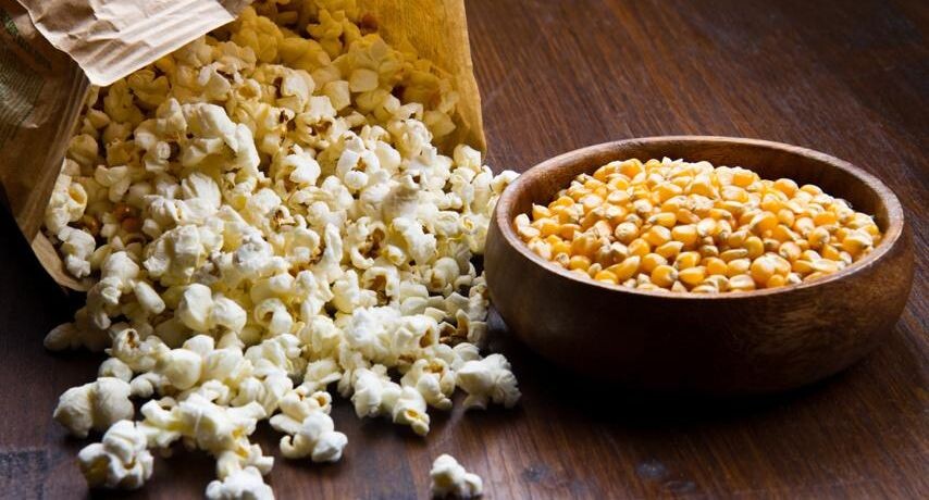    Ingram Publishing / Фотобанк Лори