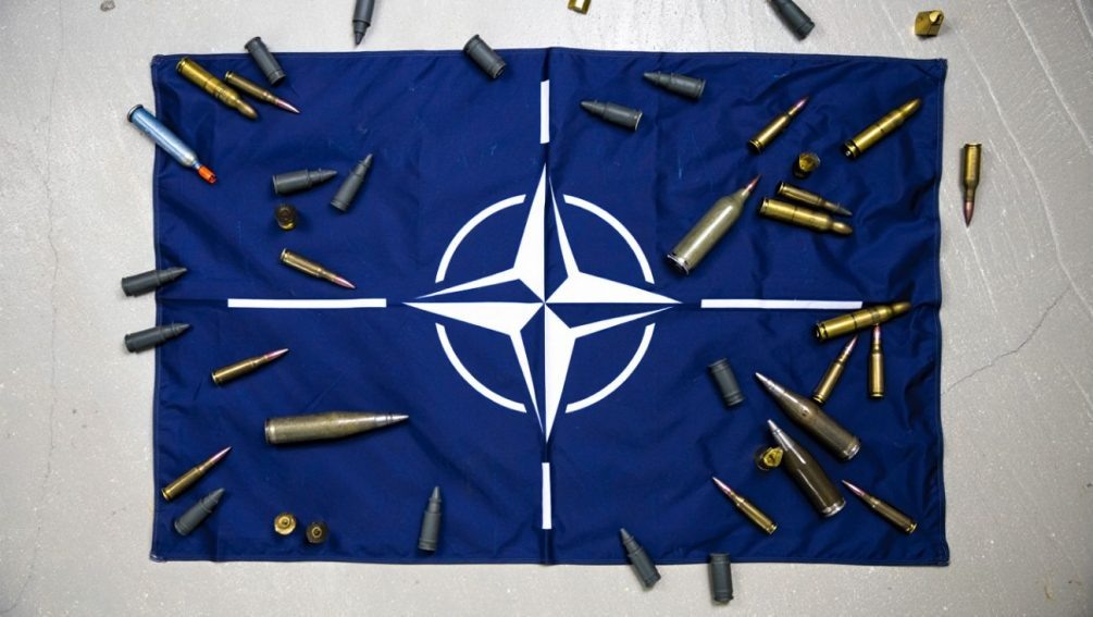   Иллюстрация: "Блокнот"