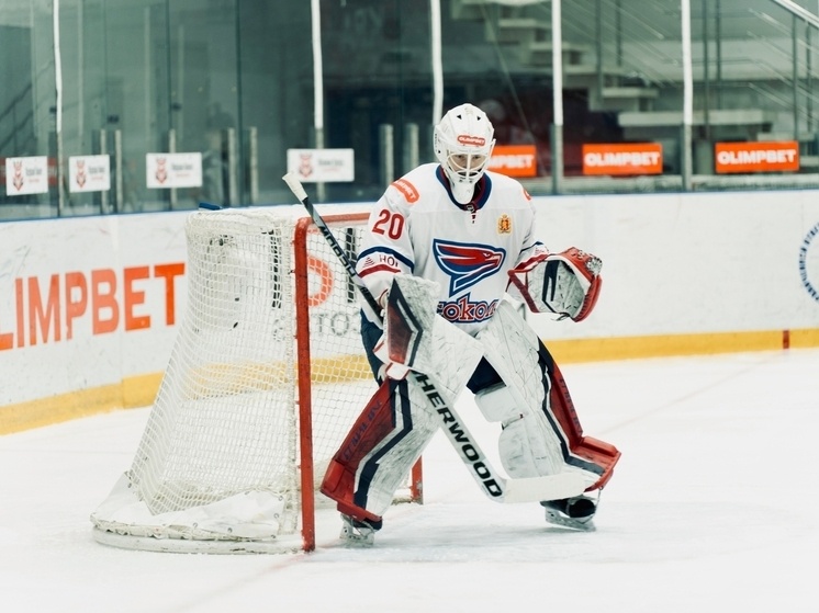     Фото: ХК Сокол