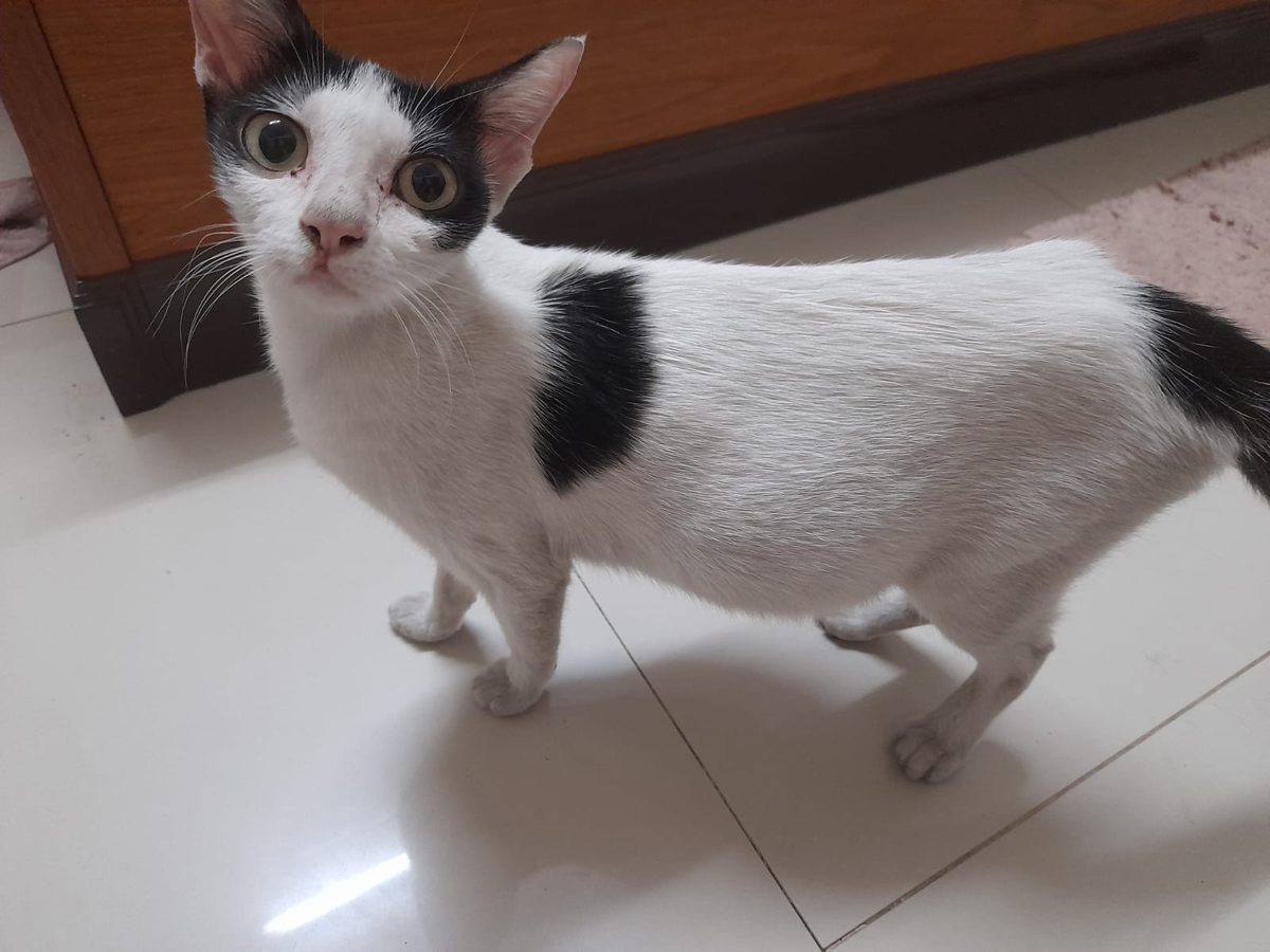 Ждет четверых. 