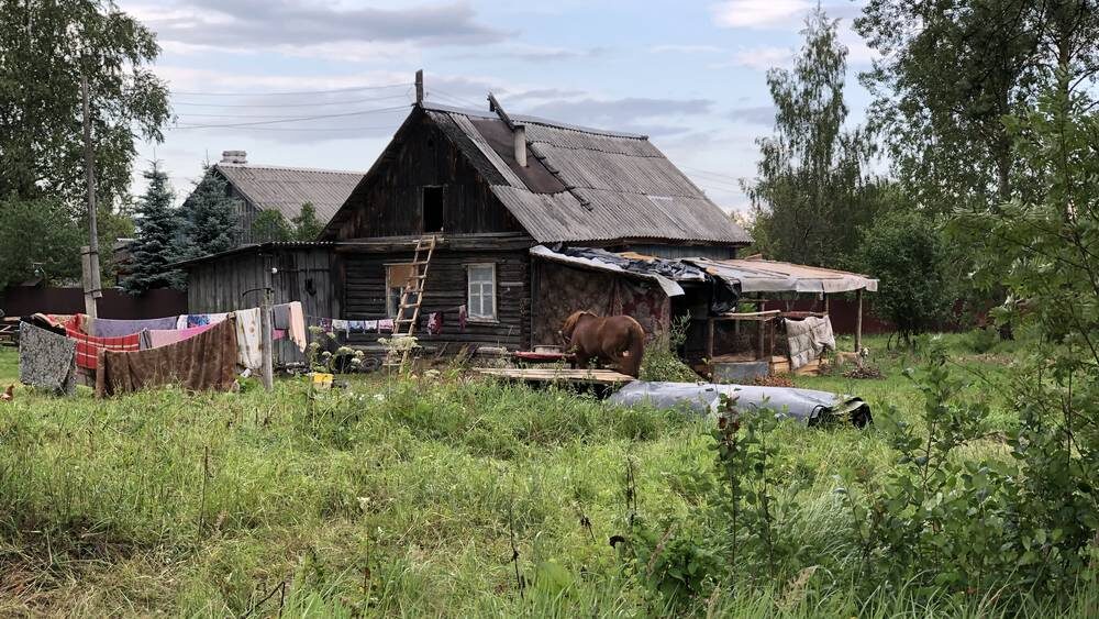    Фото: «Брянские новости»