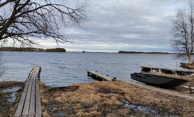    фото: © Сохраним озеро Шуезеро