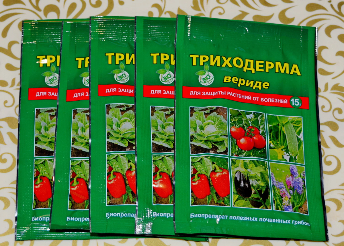 Яндекс. Картинки