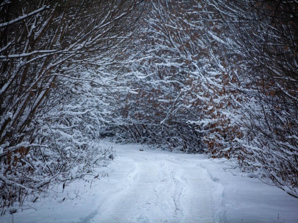    Фото: REGIONS/Дарина Левкина