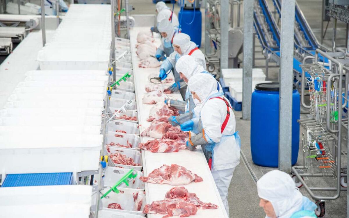    ГК «Агроэко» перезапустила Бобровский мясокомбинат после покупки Фото – «Агроэко»