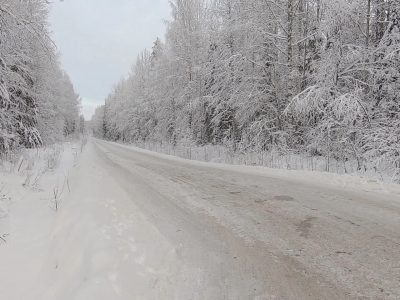    Фото: ГТРК Карелия