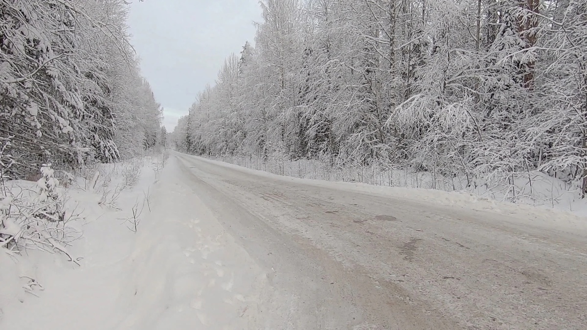    Фото: ГТРК Карелия