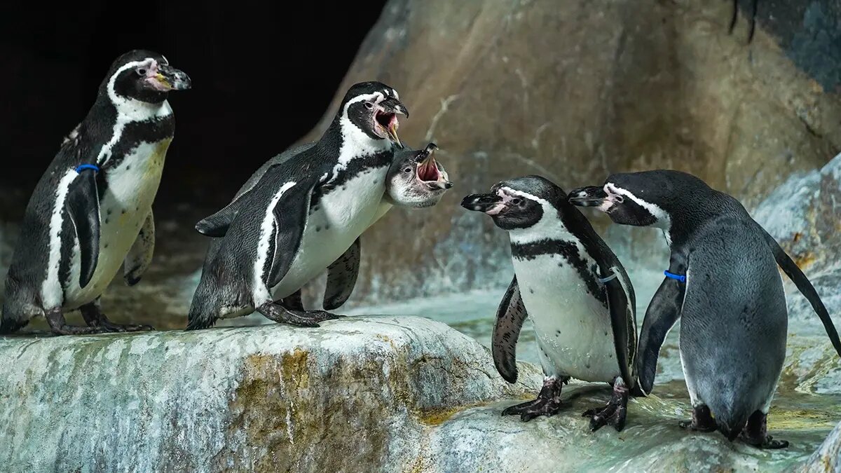    Фото: vm.ru Мария Михайлова