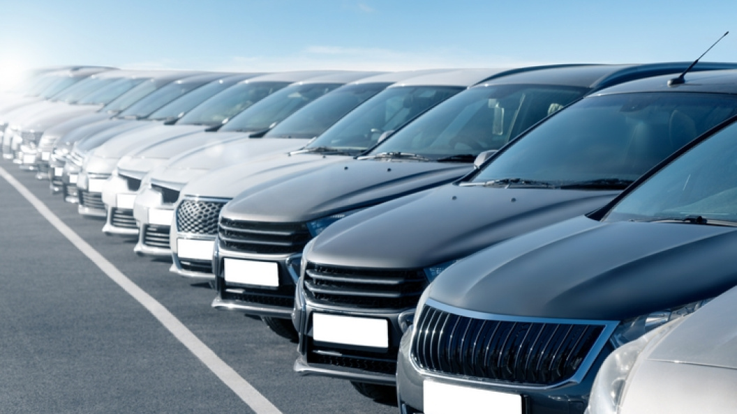    ФОТО: Scharfsinn/shutterstock