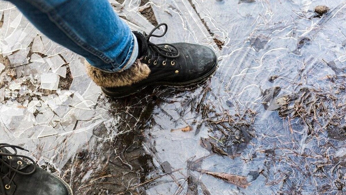 Фото: ru.freepik.com