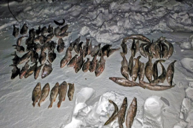    Фото Транспортной полиции Сибири