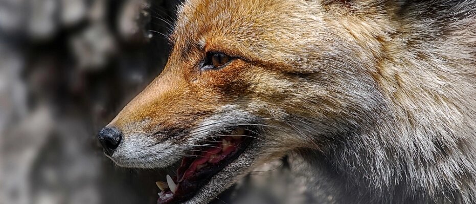    Фото: freepik.com/ wirestock