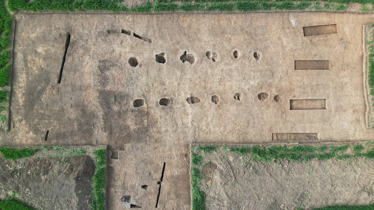     Фото: University of York