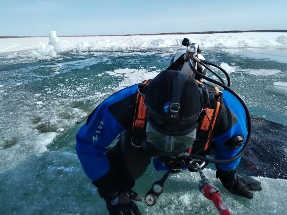 Сотрудник «Службы спасения Якутии» Станислав Соломахин погружается в воду в 50-градусные морозы.  Фото: Фото: предоставлено героем публикации