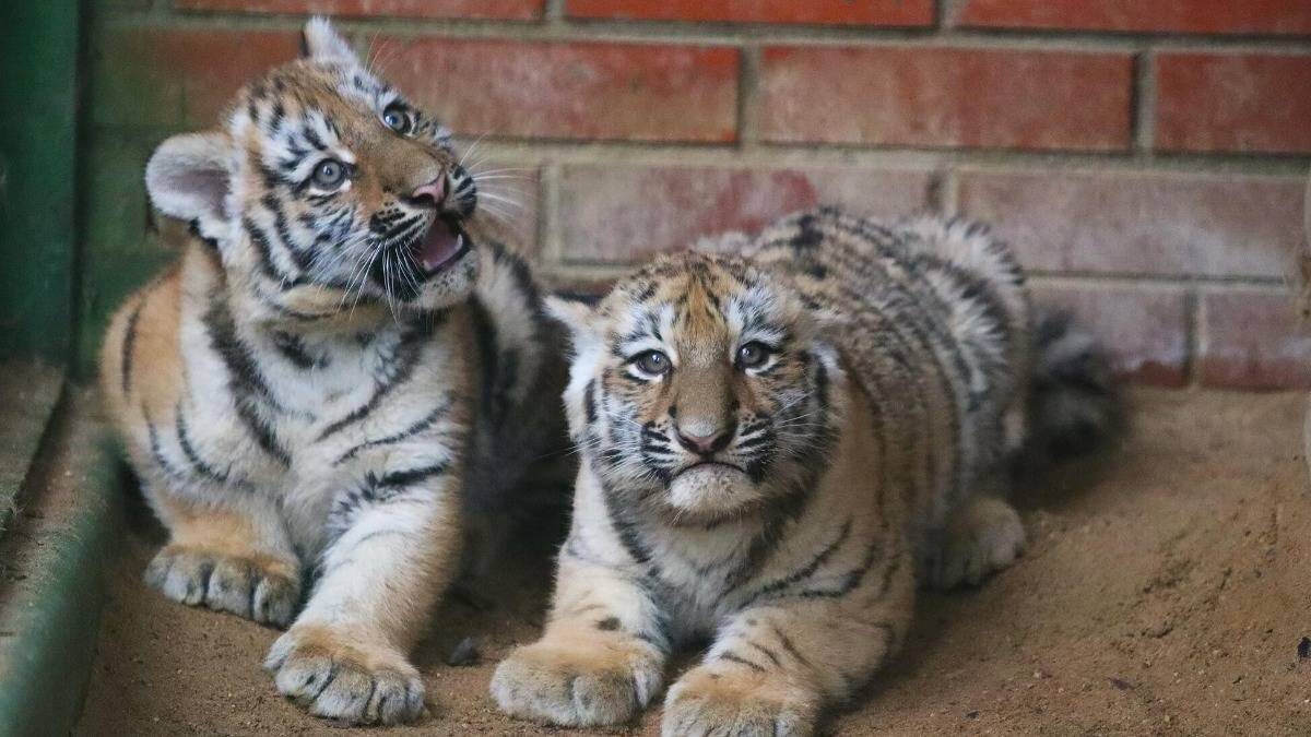    Фото: Сергей Собянин. Личный блог
