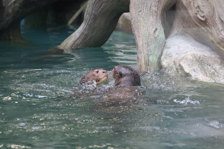  Фото: Сергей Собянин. Личный блог