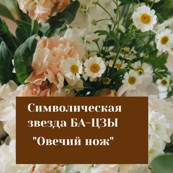 креатива автора