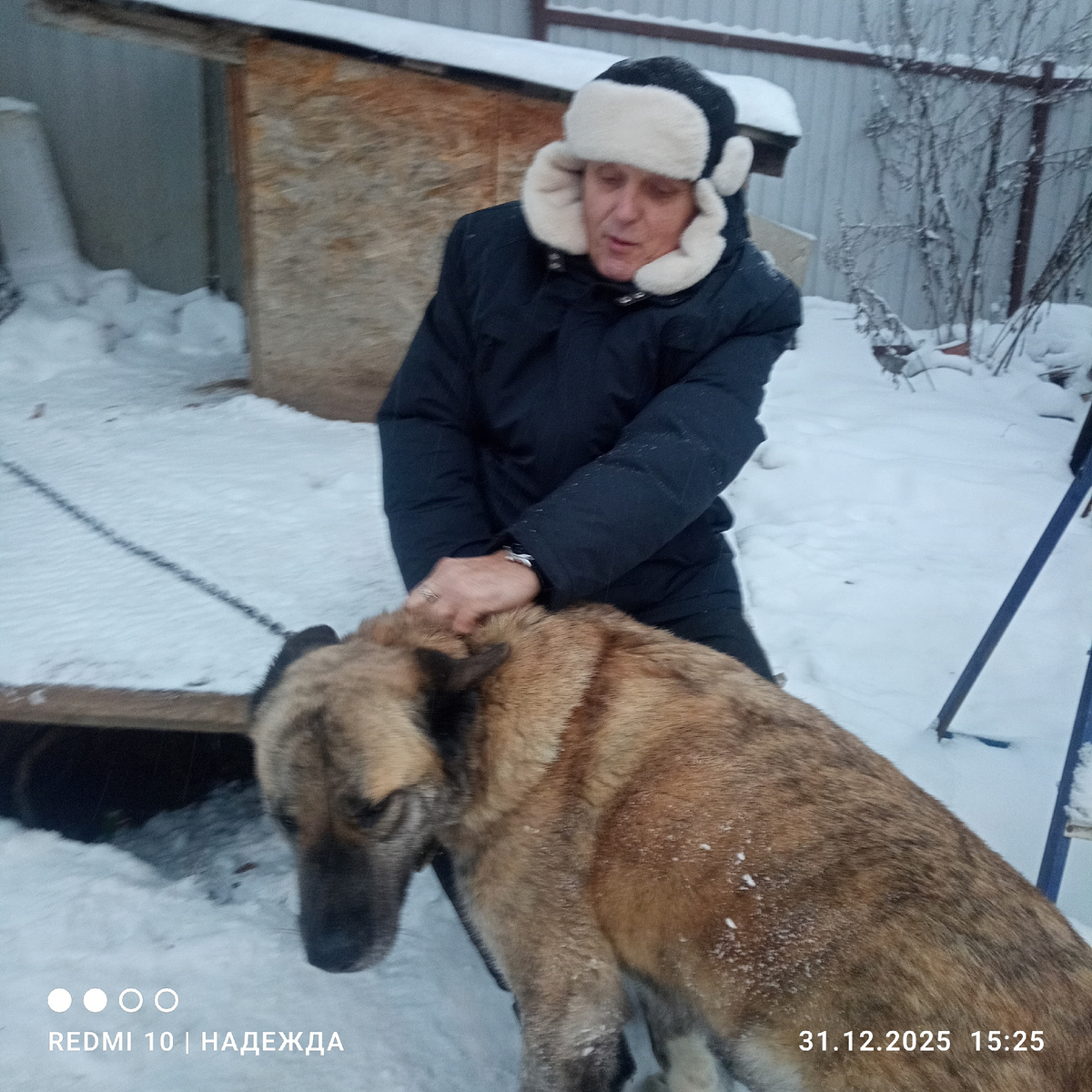 Андрей Иванович. Раньше очень обижался, если я про него не пишу. Зачем пишу о пионах, когда рядом такой парень? Вот. Пишу. 